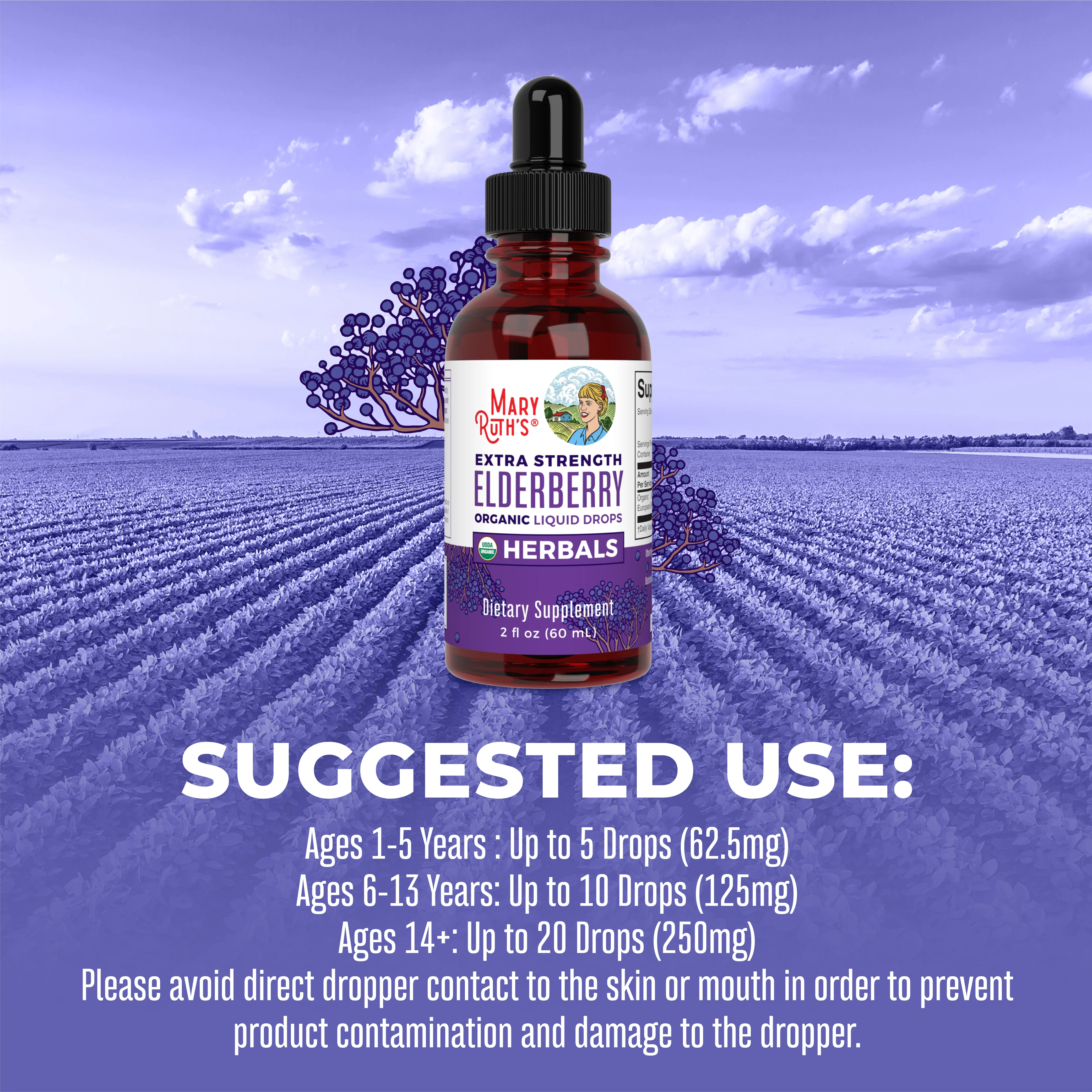 Organic Elderberry Extra Strength Liquid Drops - Image 5