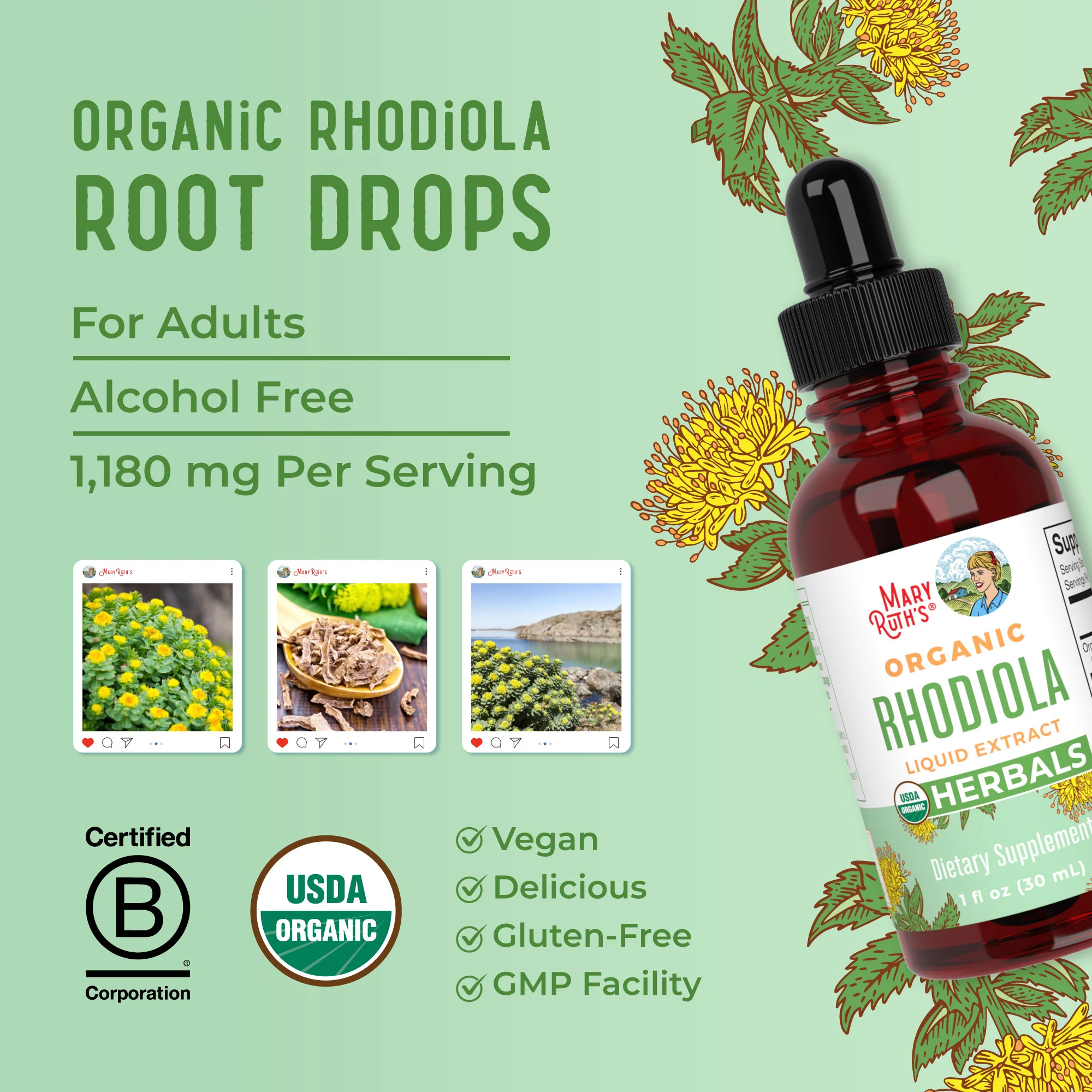 Organic Rhodiola Root Liquid Extract - Image 9