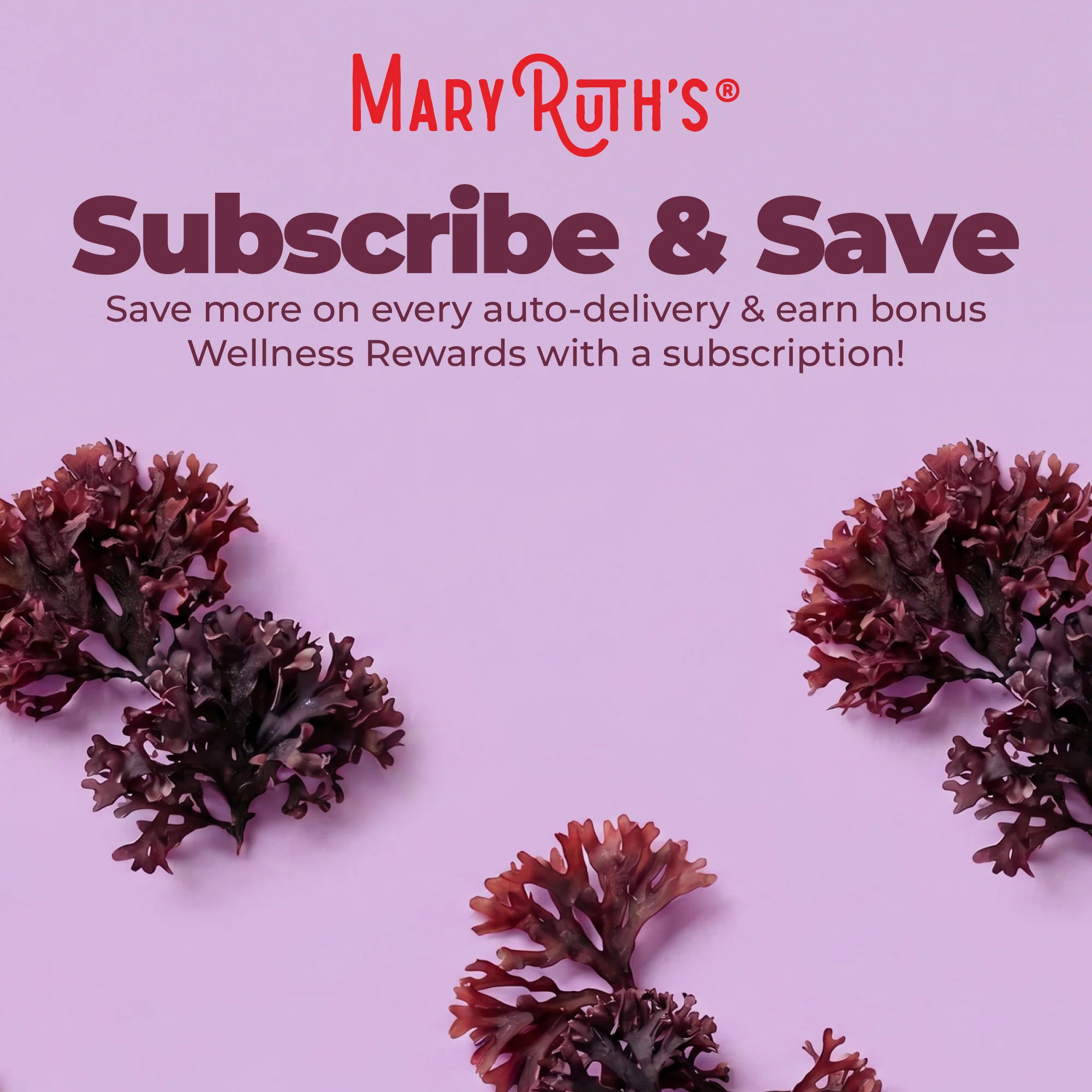 Organic Sea Moss Liquid Drops - Image 6
