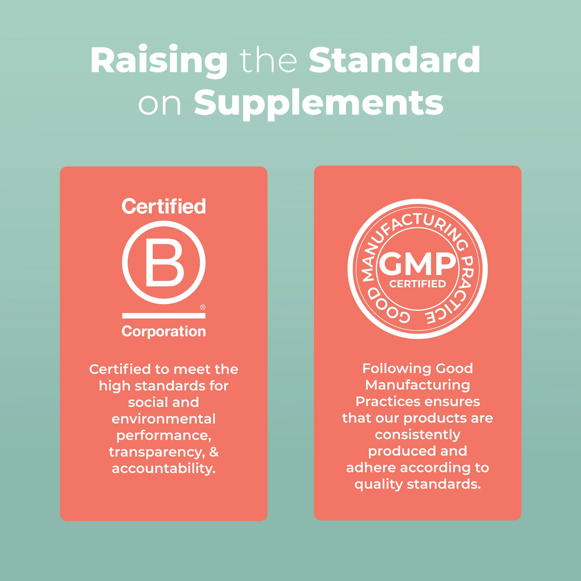 Organic Toddler Multivitamin + Postbiotics Gummies - Image 4